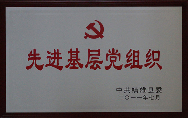 2011先进基层党组织