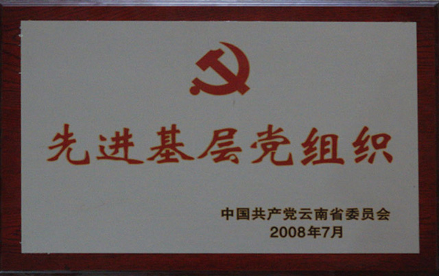 2008先进基层党组织