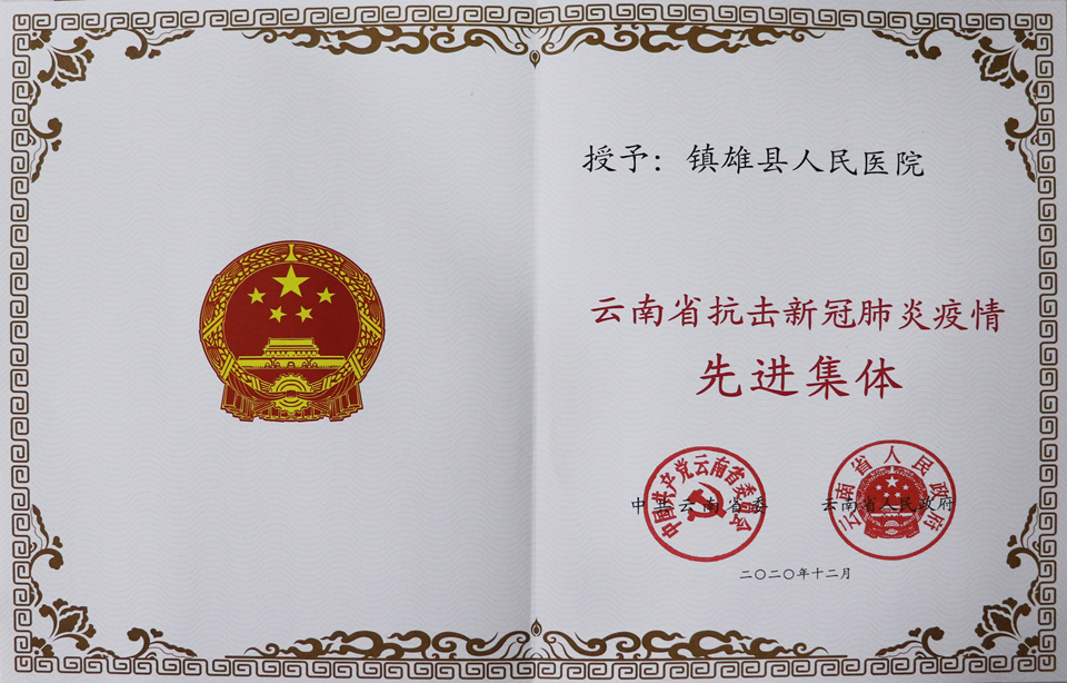 2020年12月云南省省委抗击新冠肺炎疫情先进集体