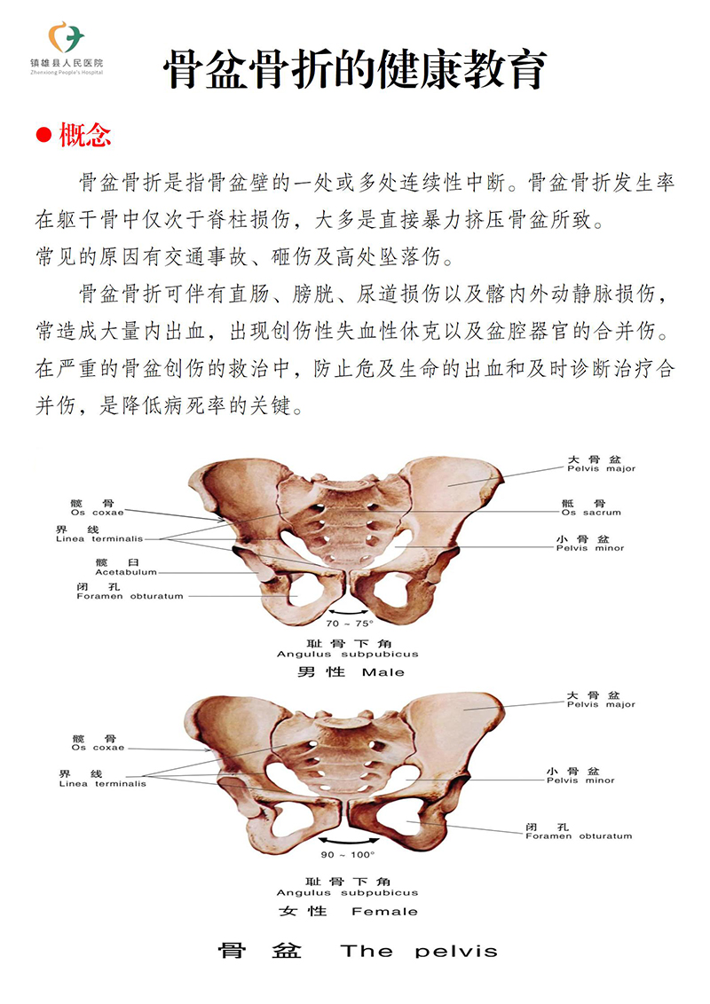 骨盆骨折健康教育_01.jpg