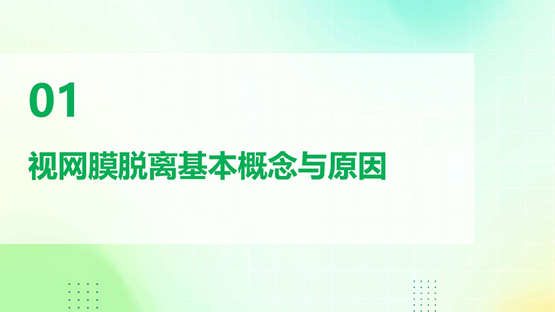 视网膜脱离的健康宣教.pptx(1)_03.jpg
