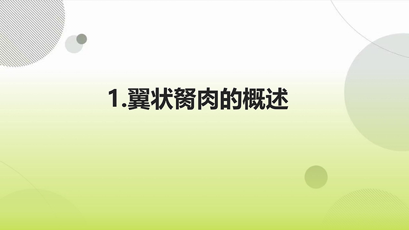 翼状胬肉的健康宣教.pptx(1)_03.jpg