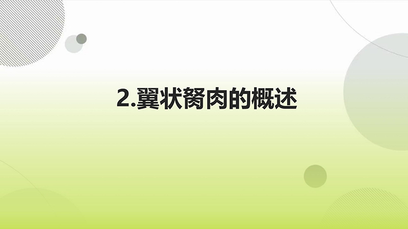 翼状胬肉的健康宣教.pptx(1)_07.jpg